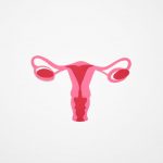 graphic art of a woman s ovary